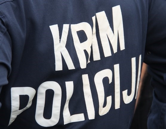 Slika /PU_VP/PRIOPĆENJA - ILUSTRACIJE/krim policija.jpg